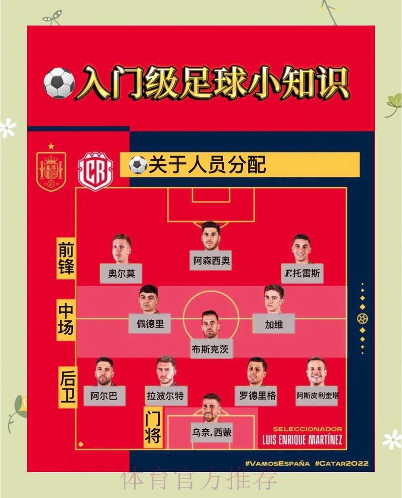 世界杯竞猜策略深度解析，教你理性精准押注